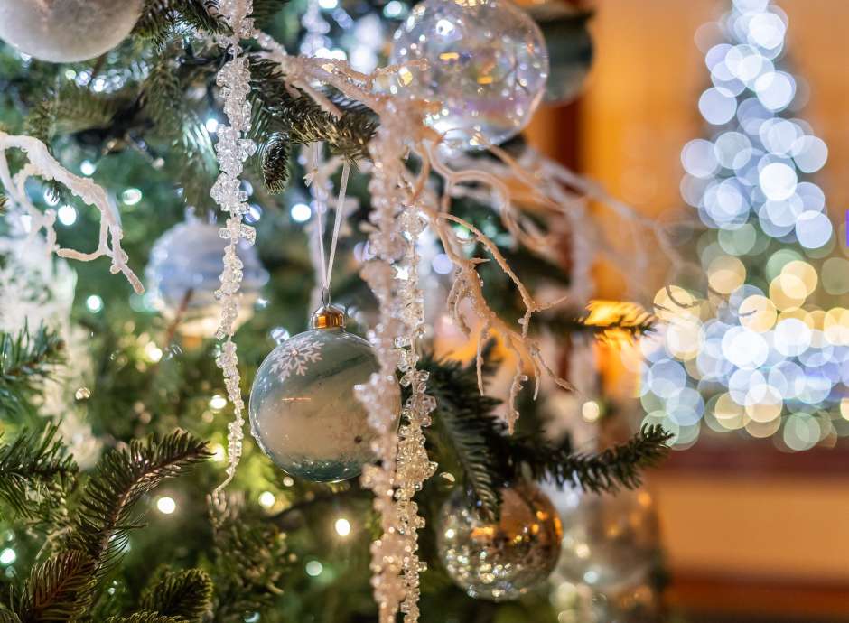 Christmas Tree Saunton 
