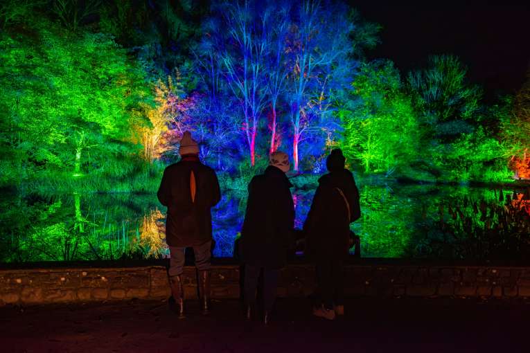RHS Rosemoor Glow family