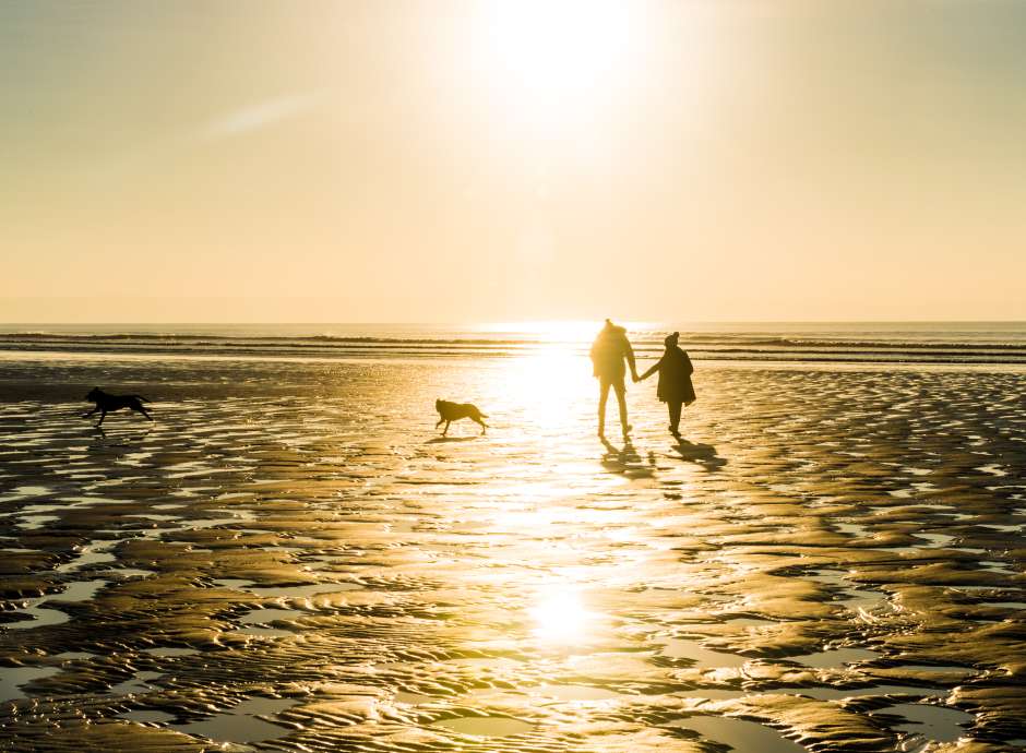 Dog running on Saunton Beach with the sunset