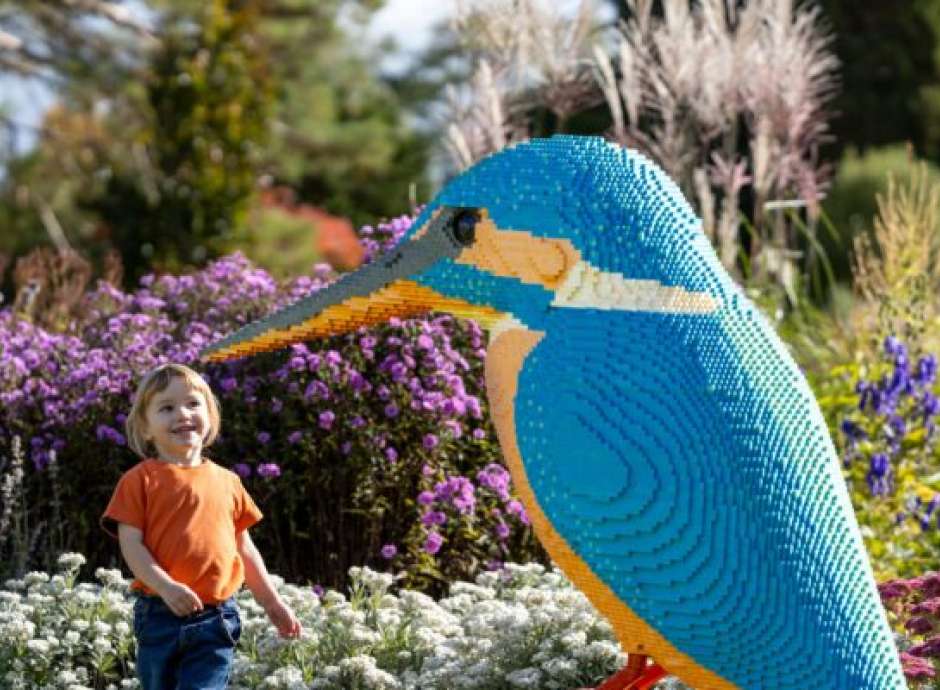 Kid at RHS Rosemoor looking at lego bird