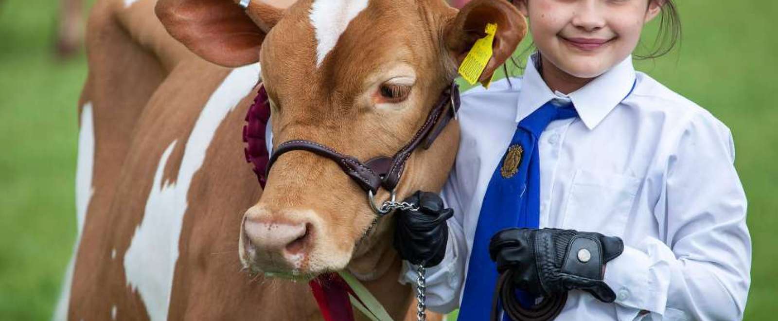 DEVON COUNTY SHOW