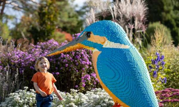 Kid at RHS Rosemoor looking at lego bird